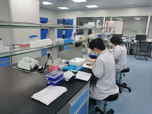 奮進正當時 固安產業新城的“犇”騰之勢與電氣科技新浪潮